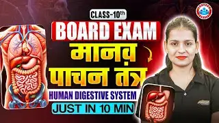 Class 10 Biology | Human Digestive System | 10th Class Biology Board Exam Just in 10 Minutes