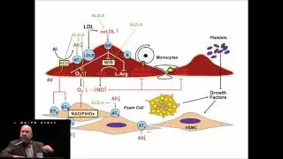 Anticoagulation & Bleeding in the ECMO Patient