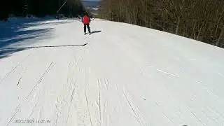 Timberline Mountain Salamander Run