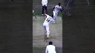 🖐 Is this the best 5-wicket haul you have seen?! #cricket #sports #bowling