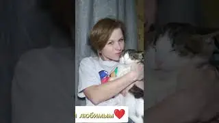 #viralvideo #tranding #viralvideo #trending #viralshort #streamer #short #kitchen #love #life #top