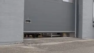Wild Thing | Capra Robotics