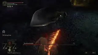 Elden Ring - Bloodhound Knight - No Damage/Sem Levar Hit [Solo/Melee]