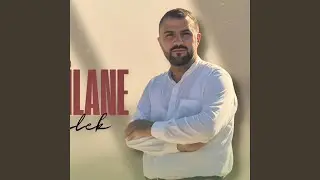 WERNE DİLLANE