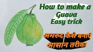 How to make a Guava || Step by step Guava drawing easy trick with colour