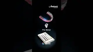 ⚙️ 𝐀𝐧𝐚𝐭𝐨𝐦𝐢𝐜 𝐇𝐞𝐚𝐥𝐢𝐧𝐠 𝐀𝐛𝐮𝐭𝐦𝐞𝐧𝐭