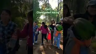 #hiking #hikinglovers #forest #viralvideo #youtubeshorts