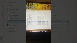 Revit Heating and Cooling Loads Revit 2024