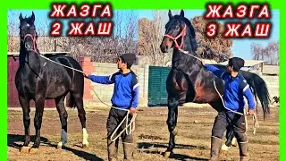 Польшанын зорлору чыкты 😍😍😍
