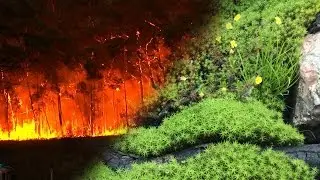 H&auml;lleskogsbr&auml;nnan Forest Fire Nature Preservation Site 2016