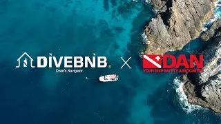 DIVEBNB x DAN(English ver.) :🥳Diving Insurance 'DAN' 🎉agency permit🎉