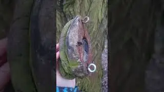 Amazing geocache ever #amazing #geocaching #adventure #cache #top #creative #shorts #wickedgame