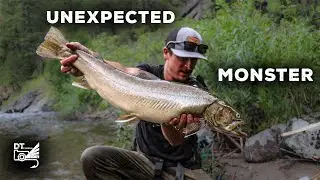 The Unexpected Monster: My Biggest Bull Trout Yet (Backcountry Fly Fishing)