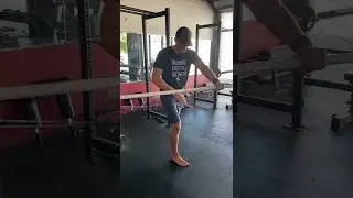 Band Split Squat with Twist