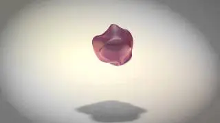The Boogie Blob