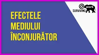 Toxicitate la locul de muncă | Surviving@work