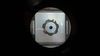 Koova - Mammal
