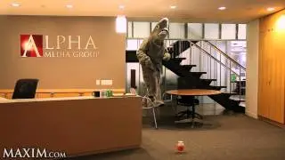 Maxim's Shark: Weak