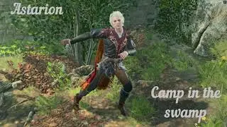 BG3 Voice reactions to the camp in the swamp and the book with booze