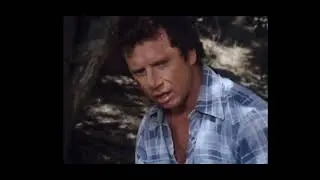 Dukes Fight