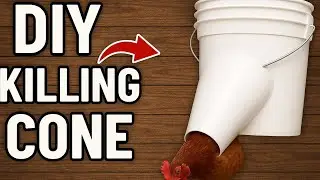 How to Humanely Kill Your Own Chickens (DIY Cone Tutorial)