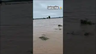 #flood2023 flood #floods #flooding #flood2023 #viral #sidhu #youtubeshorts #todaynews #floodtoday
