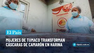 Harina de esperanza: mujeres de Tumaco innovan con la cáscara de camarón | El País Cali