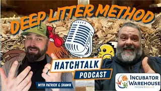 Deep Litter Method Explained: Composting Poop in the Coop (Winter Chicken Care) #coop