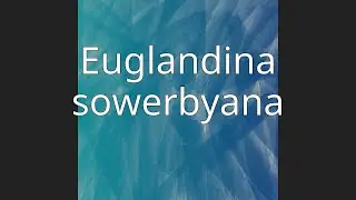 Euglandina sowerbyana