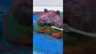 CLEANING SQUISHY ASM🐹Hamster#asmr