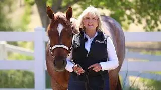 Virtual Horse Clinic | Showmanship | Promo