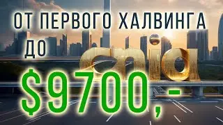 Чиа: от первого халвинга до 9700 долларов