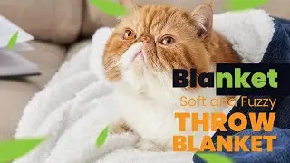 Bedsure Sherpa Fleece Throw Blanket for Couch | How to Choose Perfect Sherpa Fleece Throw Blanket