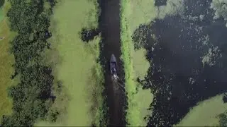 Lough Neagh: The year the UK's largest lake turned green (Northern Ireland/UK) 20/Aug/2025