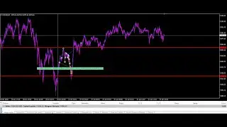 Grid+Hedge 27-1-26.-