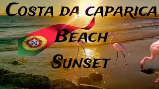 Sunset Evening |COSTA DA CAPARICA BEACH|