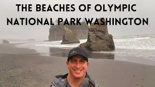 THE BEACHES OF OLYMPIC NATIONAL PARK WASHINGTON