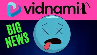 RIP VIDNAMI 💀 - What Happened?