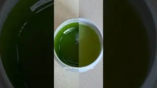 [#Matcha101] 100 ปีก่อนชงมัทฉะกันแบบไหน?