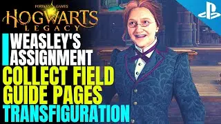 𝐇𝐨𝐠𝐰𝐚𝐫𝐭𝐬 𝐋𝐞𝐠𝐚𝐜𝐲 Professor Weasley's Assignment | Collect the Field Guide Page | Transfiguration
