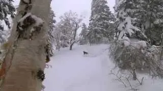 Hokkaido segment from SOME THING ELSE