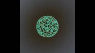 Multiple Neighborhood Cellular Automata
