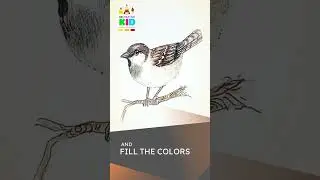 How to draw Sparrow | Sparrow drawing | Pencil color drawing | Sparrow painting | Be creative kid