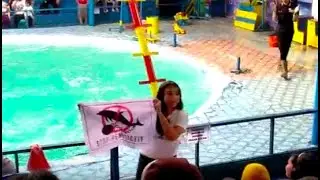 Manohara Odelia Pinot And Local Activists Protest Indonesian Traveling Dolphin Circus @manodelia