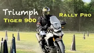First Ride on a Big ADV! Triumph Tiger 900 Rally Pro Experience 🐯🔥