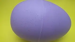 Learn Colours Opening Surprise Eggs! Learn Sizes from Smallest to Biggest! Surprise Eggs #56