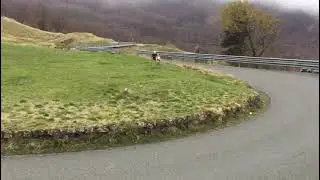 Il tornante 
