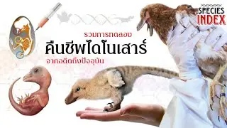 รวมการทดลอง 