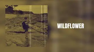 LouisJelly - WILDFLOWER (Official Lyrics Video)