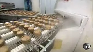 Youtube Poop: How It's Made - CooCies